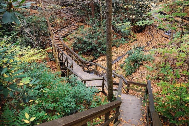 Luxury Retreat Sequoia National Park: A Peaceful Stay Surrounded by Nature