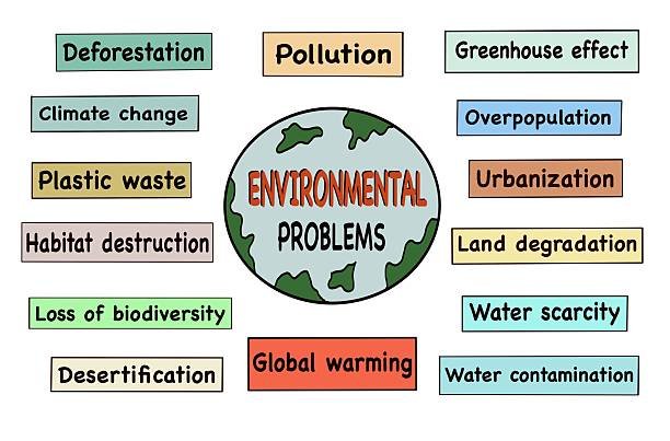 How to Write an Environmental Health Assignment Step by Step